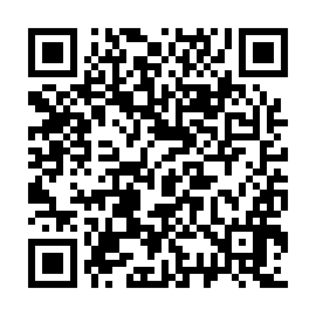 QR code for 333Q96