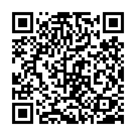 QR code for 333TSY