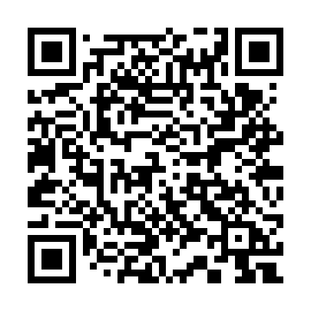QR code for 333VRA