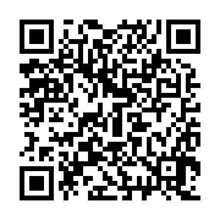 QR code for 333X86