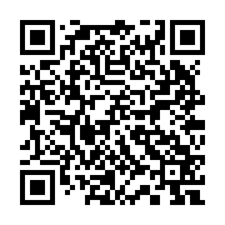 QR code for 333Z63