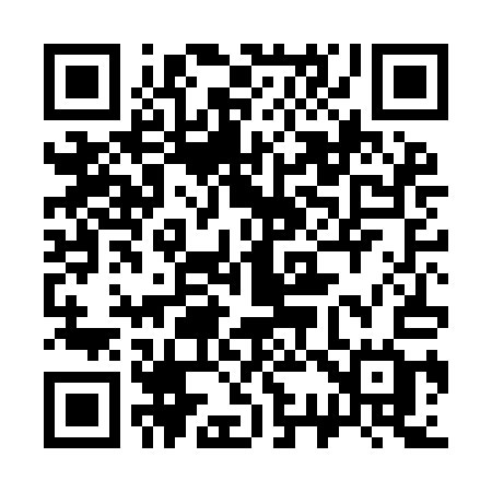 QR code for 334IAG