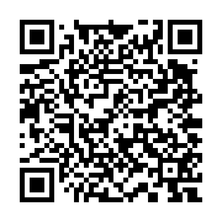 QR code for 334T51