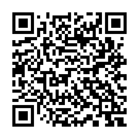 QR code for 335ARK