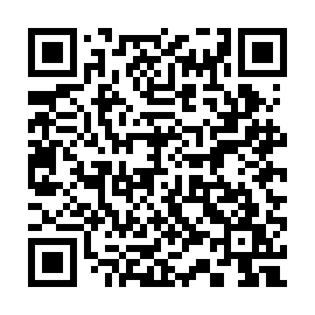 QR code for 335BAW