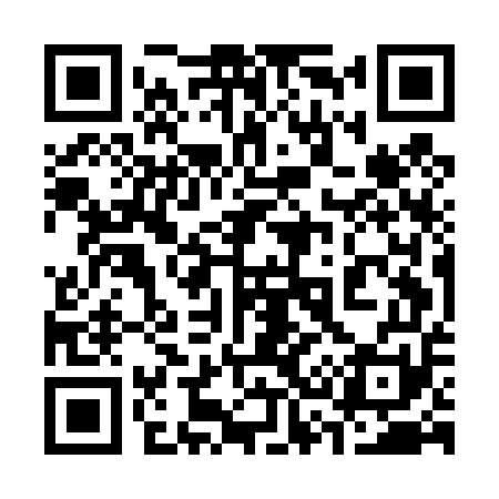 QR code for 335D51