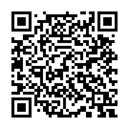 QR code for 335DSR