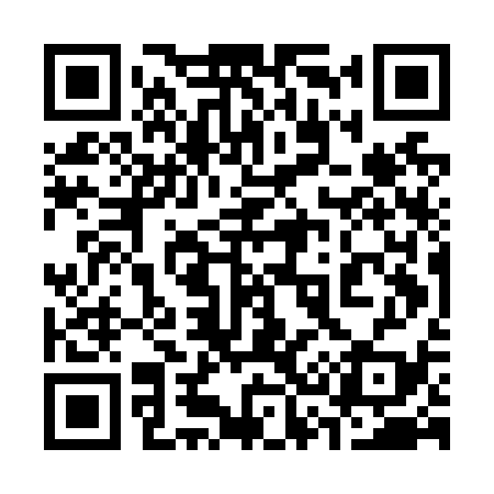 QR code for 335N39