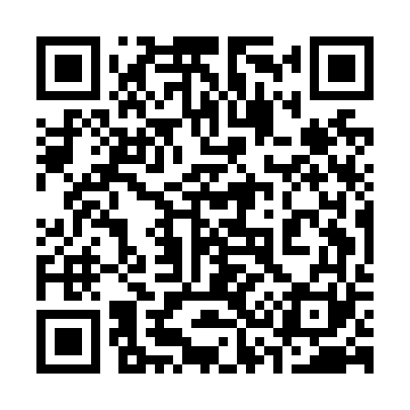 QR code for 335N61
