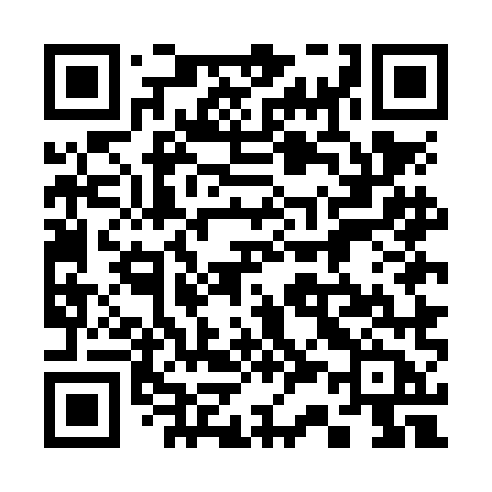 QR code for 335NMB