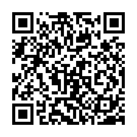 QR code for 335O31