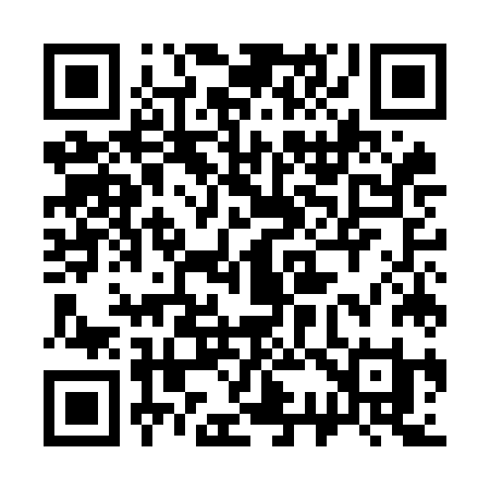 QR code for 335OJI
