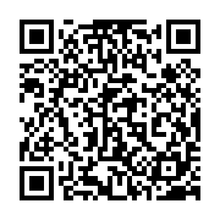 QR code for 335P95