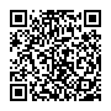 QR code for 335R79