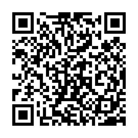 QR code for 335T51