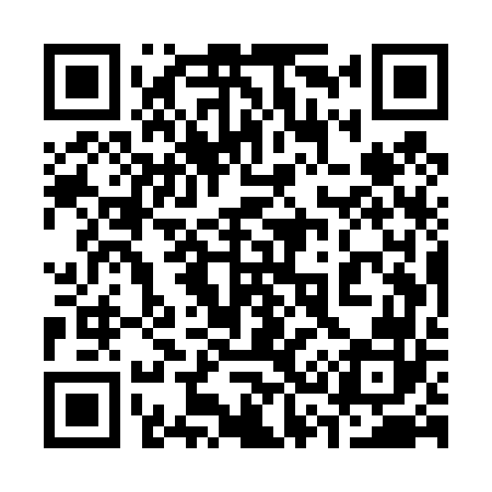 QR code for 335T62