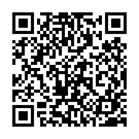 QR code for 335TPL