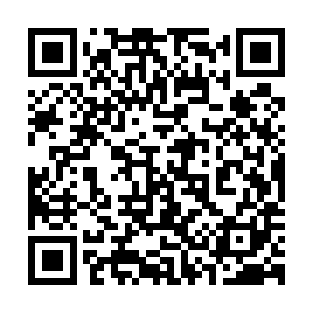 QR code for 335U81