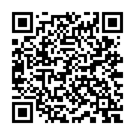 QR code for 335VAI