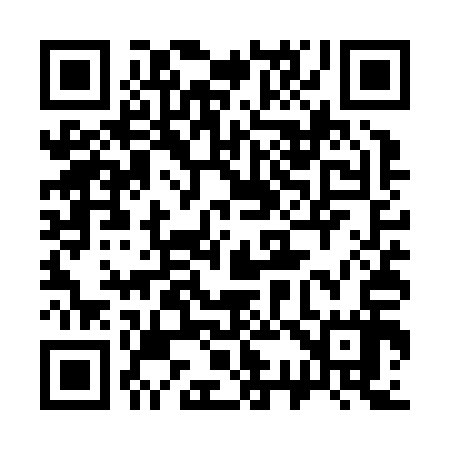 QR code for 335Z17