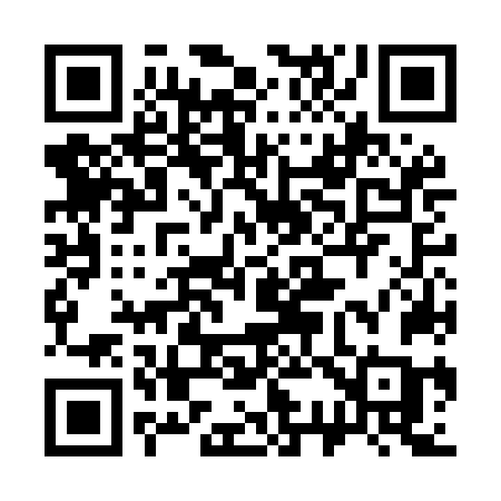 QR code for 336MNC