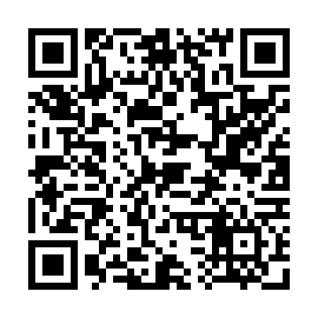 QR code for 336N66