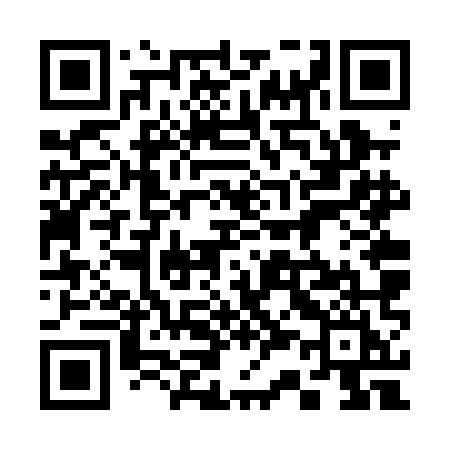QR code for 336PMI