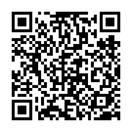 QR code for 336VEI