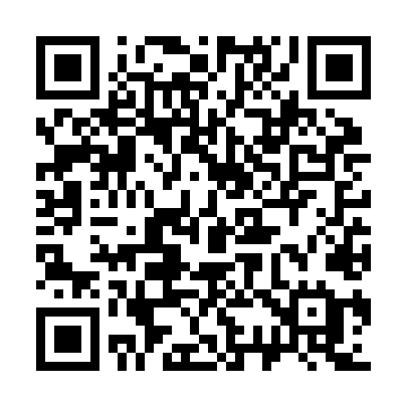 QR code for 336ZLE