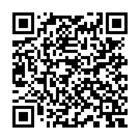 QR code for 337NEV