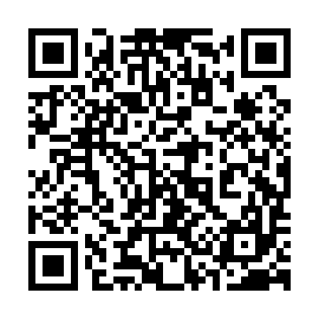 QR code for 338A97