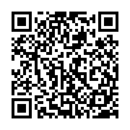 QR code for 338B55