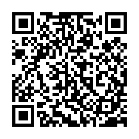 QR code for 338D81