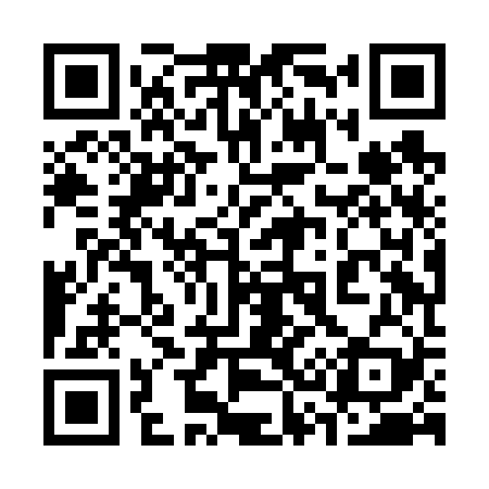 QR code for 338F29