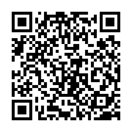 QR code for 338G38