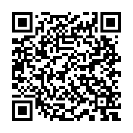 QR code for 338G66