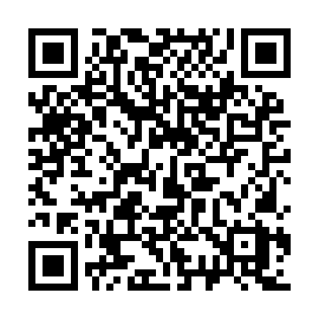 QR code for 338INX
