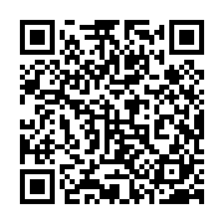 QR code for 338P20