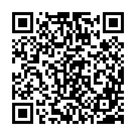QR code for 338P46