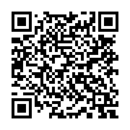 QR code for 339LQR