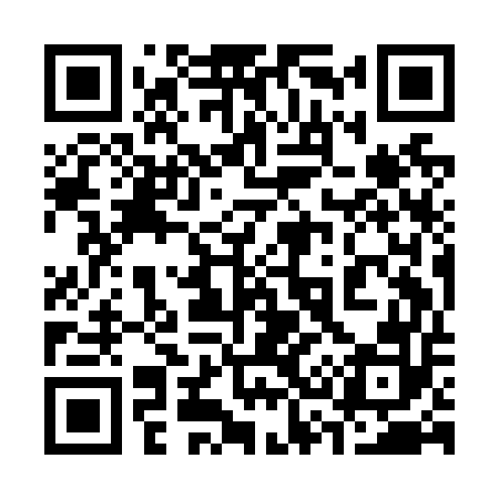 QR code for 339N52