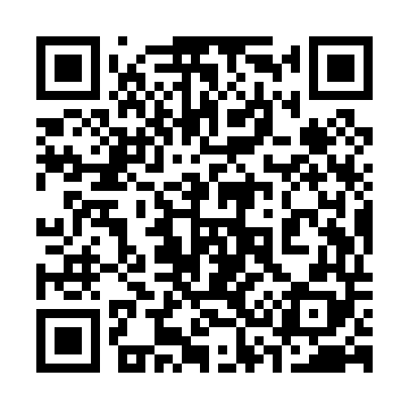 QR code for 339P48
