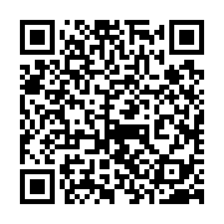 QR code for 33B739