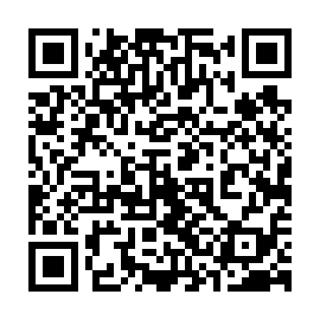 QR code for 33D619