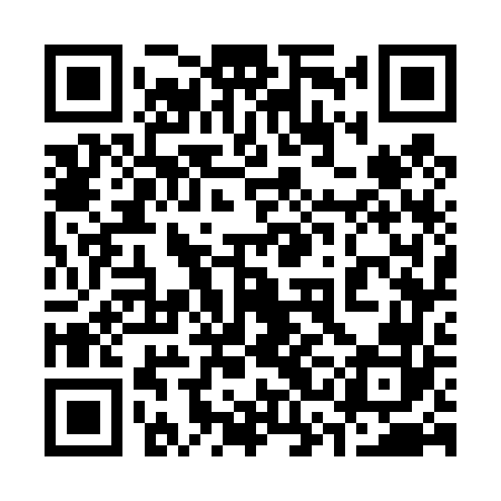 QR code for 33G462