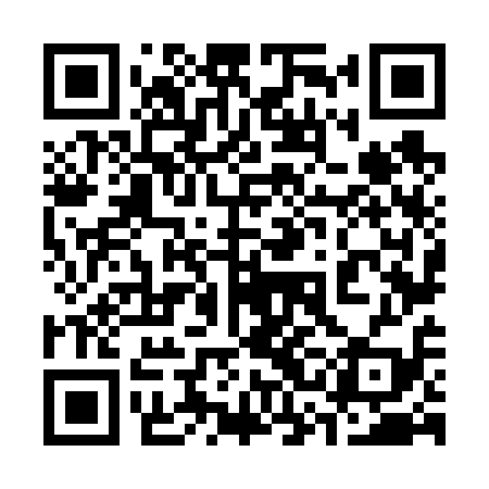 QR code for 33N619