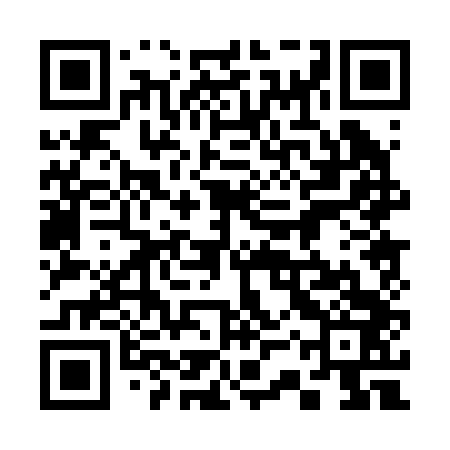 QR code for 33P243