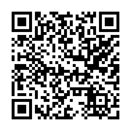 QR code for 33T851