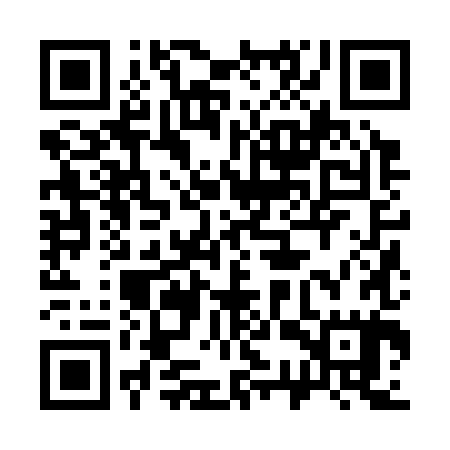QR code for 33Z385