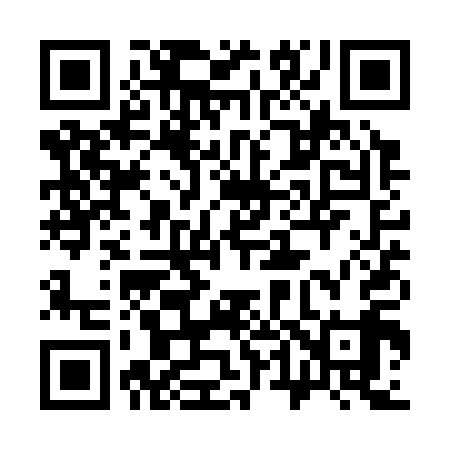 QR code for 341S19